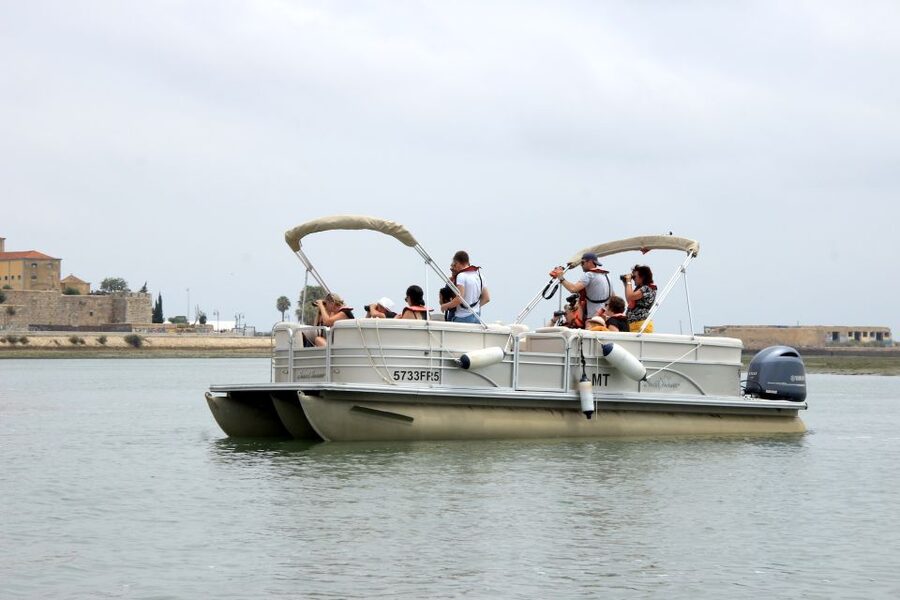 From Faro: 2-Hour Guided Bird Watching Boat Trip - The Deserted Beach Stop and the “Small Paradise” Moment