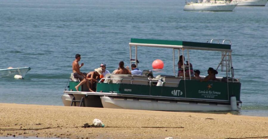 From Faro: 2-Island, 2-Stop Ria Formosa Catamaran Tour - Stop 1, Ilha Deserta: Beach Walks, Swimming, and Fresh Air