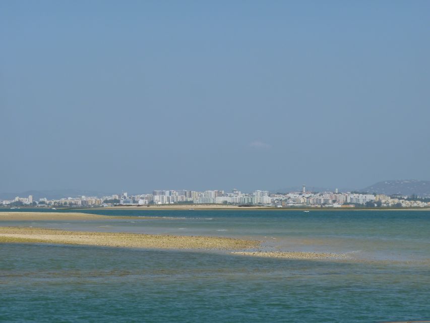 From Faro: 2-Island, 2-Stop Ria Formosa Catamaran Tour - Boat Comfort, Included Gear, and Small-Group Reality