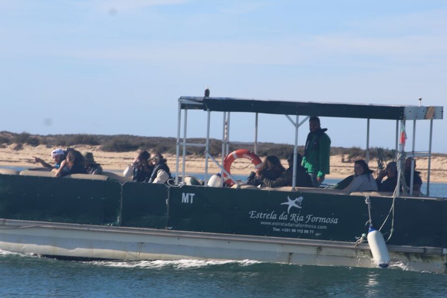 From Faro: 2-Island, 2-Stop Ria Formosa Catamaran Tour - The Guided Park Time: Where the Natural Park Story Makes Sense