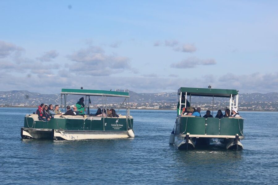 From Faro: 4 Stops, 3 Islands in Ria Formosa Catamaran Tour - Key highlights you should not miss