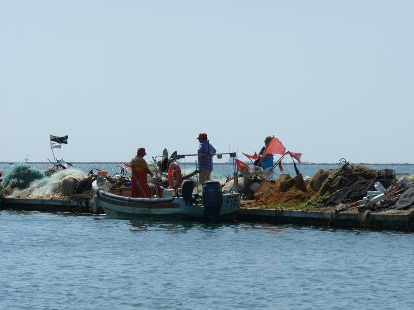 From Faro: 4 Stops, 3 Islands in Ria Formosa Catamaran Tour - The channel wildlife moment you actually get to see