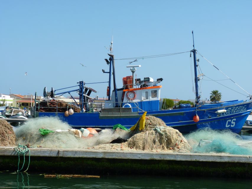 From Faro: 4 Stops, 3 Islands in Ria Formosa Catamaran Tour - Passing the Cape of St. Mary, Faro’s coastal context