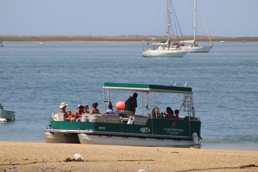 From Faro: 4 Stops, 3 Islands in Ria Formosa Catamaran Tour - Stop 4: Hangares and oyster farming you can actually picture