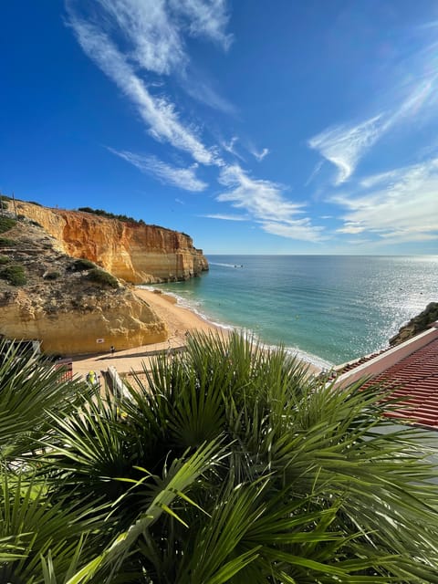 From Faro: Benagil, Algar Seco, 7 Hanging Valleys, & Marinha - Benagil Cave viewpoints, the top view that still feels epic