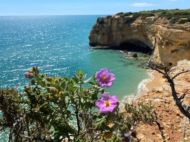From Faro: Benagil Cave and Seven Hanging Valleys Trail Tour - Getting from Faro Marina to the Algarve cliffs, without the hassle