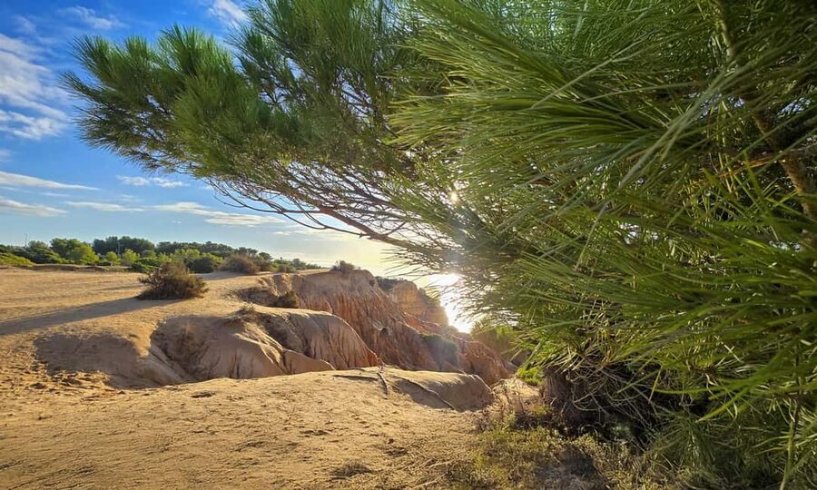 From Faro: Benagil Cliffs Hiking & 4 Treasures Experience - Beach umbrella, snorkeling masks, and the weather reality check
