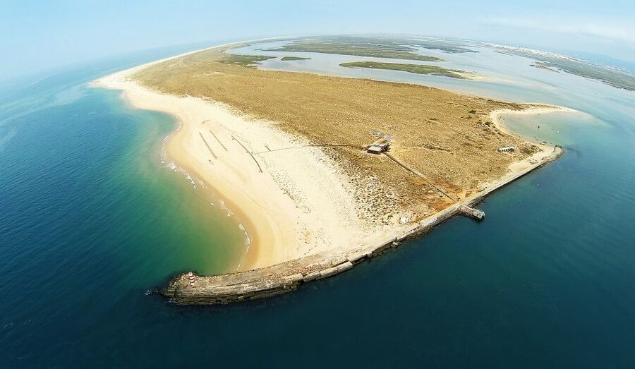 From Faro: Catamaran Boat Trip to Deserta Island with Stop - Price, Value, and What You Still Need to Budget For