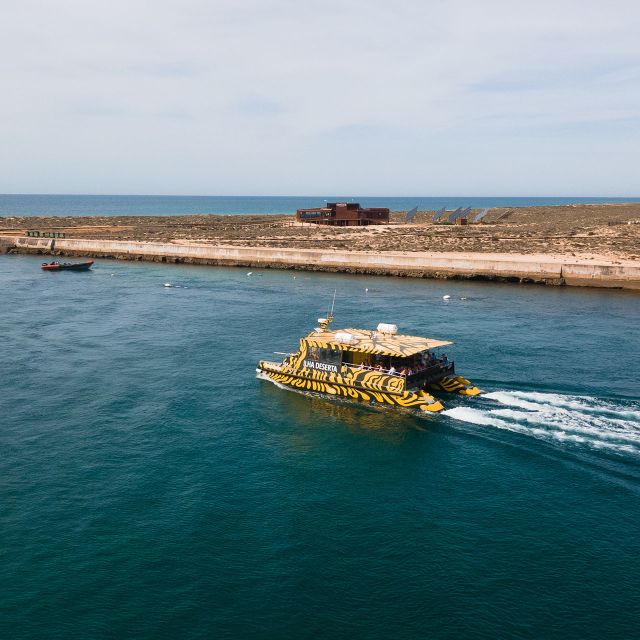 From Faro: Catamaran Boat Trip to Deserta Island with Stop - Ilha Deserta, Also Known As Barreta Island