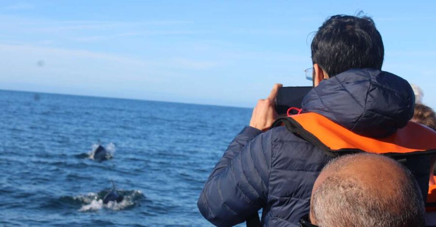 From Faro: Dolphin Watching & 2 Islands Tour - Key highlights you will actually feel