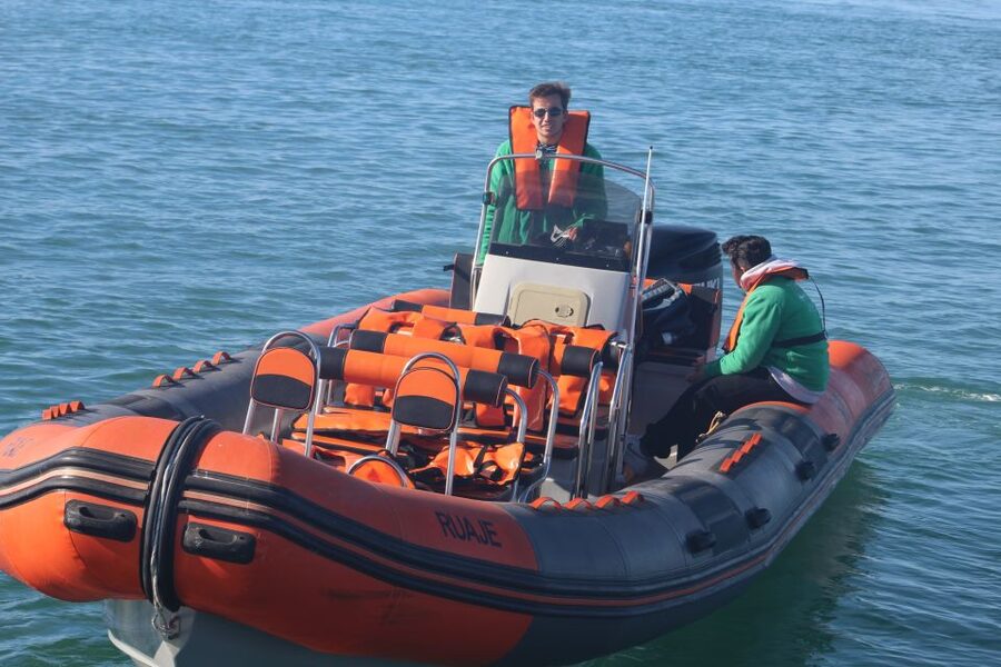 From Faro: Dolphin Watching & 2 Islands Tour - Out on the Atlantic deck, this is where the spotting happens