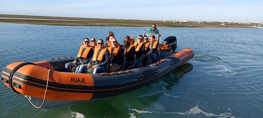 From Faro: Dolphin Watching & 2 Islands Tour - Ilha Deserta: swim time and the tide-changing scenery