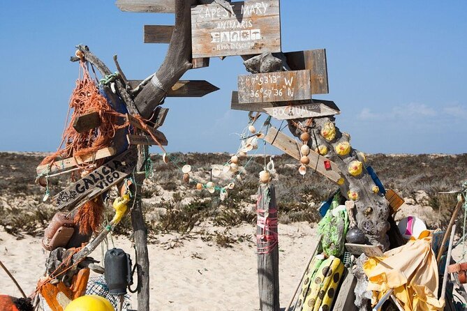 From Faro: Ria Formosa Eco Tour guided by Marine Biologist - Key Highlights You’ll Actually Feel