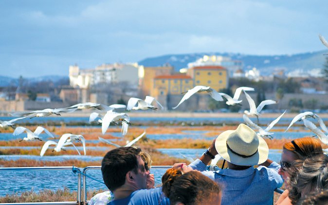 From Faro: Ria Formosa Eco Tour guided by Marine Biologist - Who Should Book This Tour?