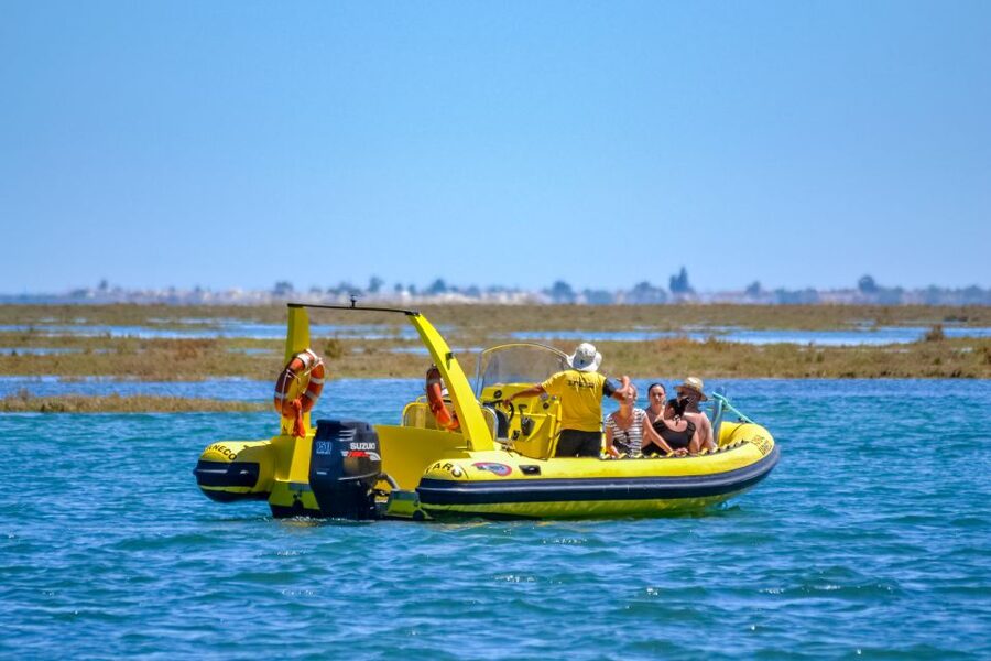From Faro: Ria Formosa Eco Tour guided by Marine Biologist - Tips to Make the Most of Your Day