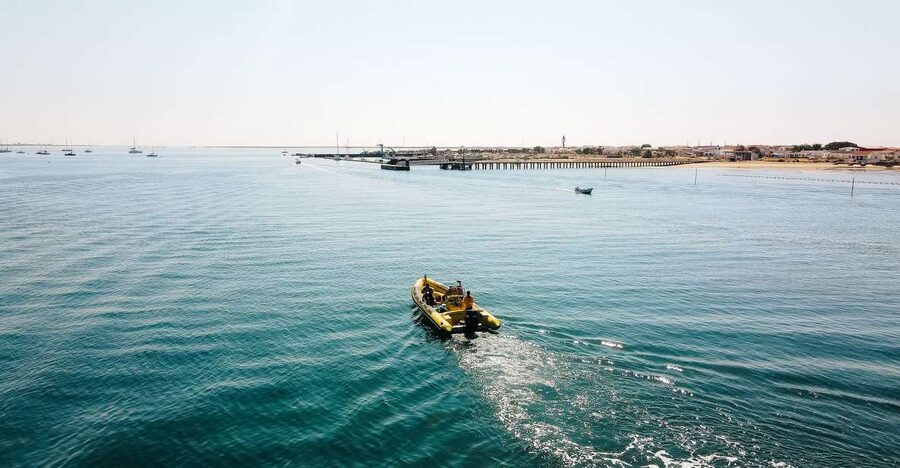 From Faro: Ria Formosa Hop-On Hop-Off 3 Islands Cruise - Key Highlights You Should Plan For