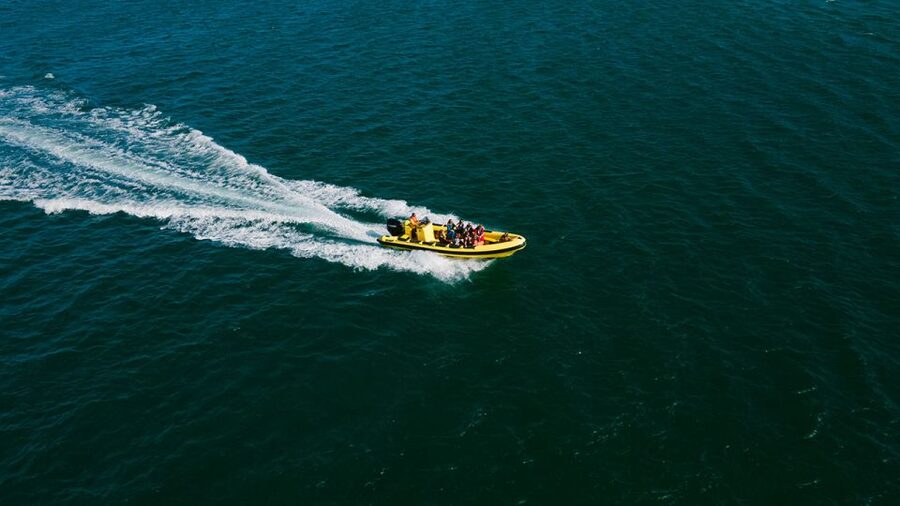 From Faro: Ria Formosa Hop-On Hop-Off 3 Islands Cruise - Why This Faro Cruise Works: Freedom on Real Barrier Islands