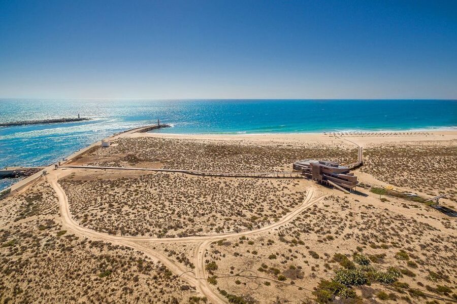 From Faro: Ria Formosa Hop-On Hop-Off 3 Islands Cruise - Wildlife and Timing: Dolphins, Flamingos, and When to Move On