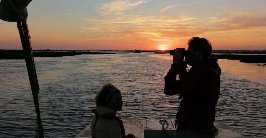 From Faro: Ria Formosa Sunset Boat Trip - Why Faro sunset works so well on the Ria Formosa