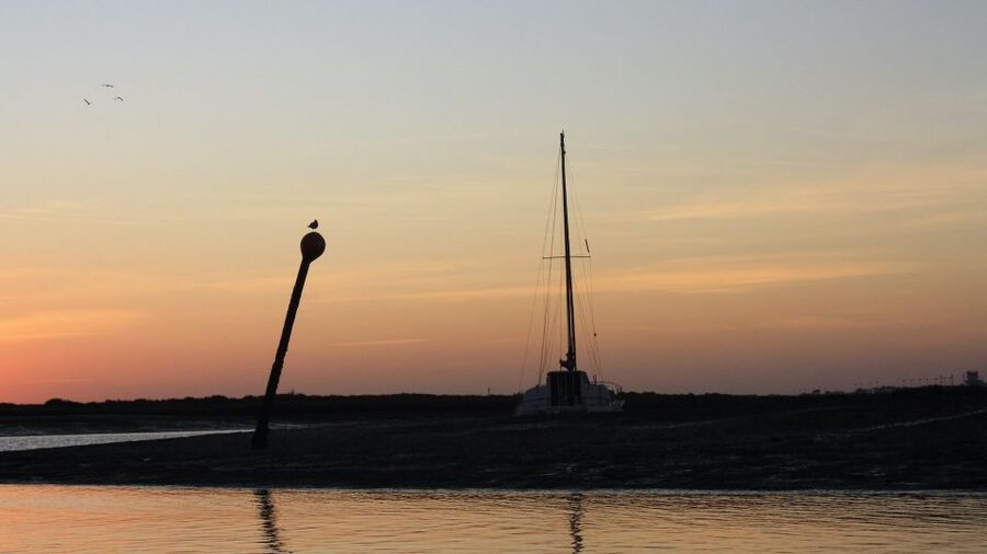 From Faro: Ria Formosa Sunset Boat Trip - Cruising the Parque Natural da Ria Formosa: channels, marshlands, birds