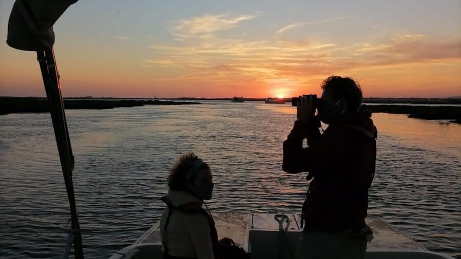 From Faro: Ria Formosa Sunset Boat Trip - The sunset moment: when the colors show up
