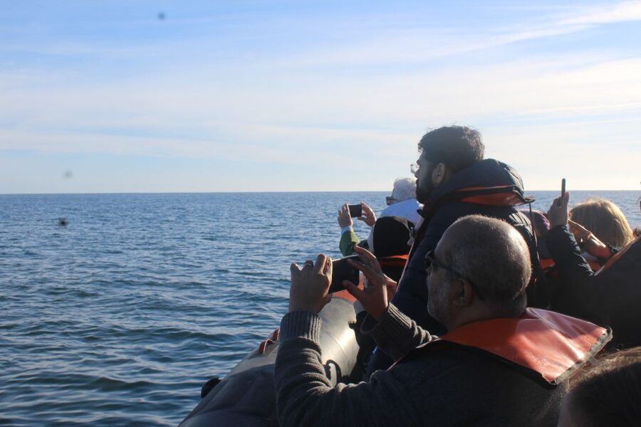 From Faro: Wildlife and Dolphin-Watching Speedboat Tour - The Speedboat Out to Ria Formosa, 30 Minutes of Coast and Channel Views