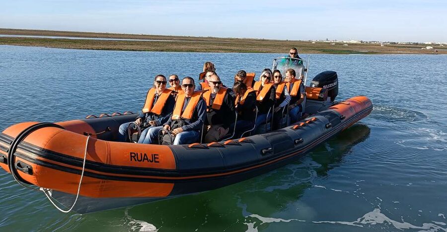 From Faro: Wildlife and Dolphin-Watching Speedboat Tour - Cape Santa Maria and the Ocean Meeting Point