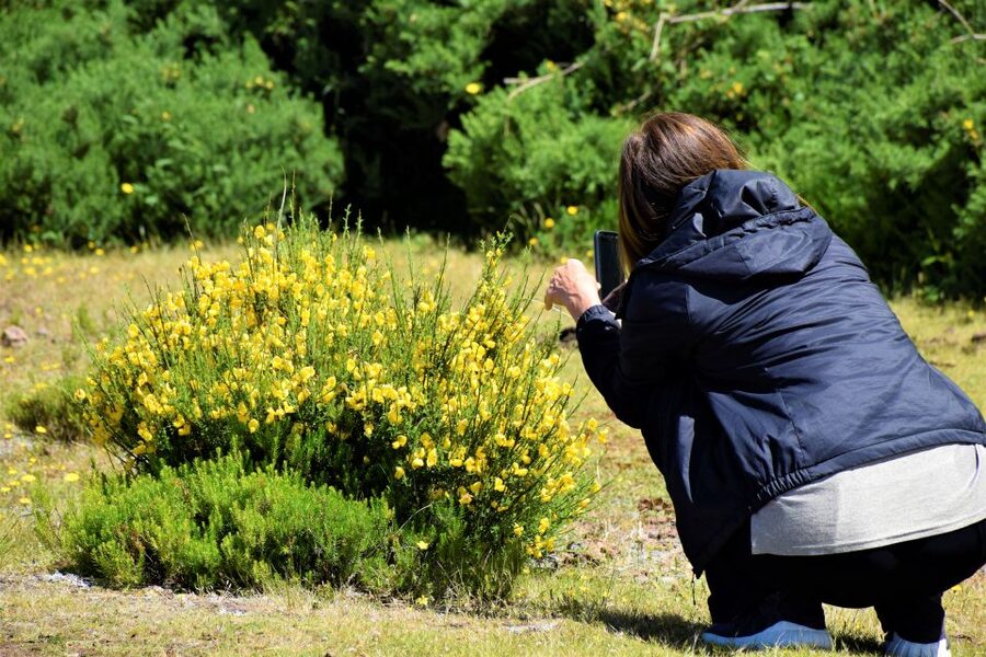 From Funchal: 2-Day Guided Tour of Madeira - Should you book this Madeira tour?