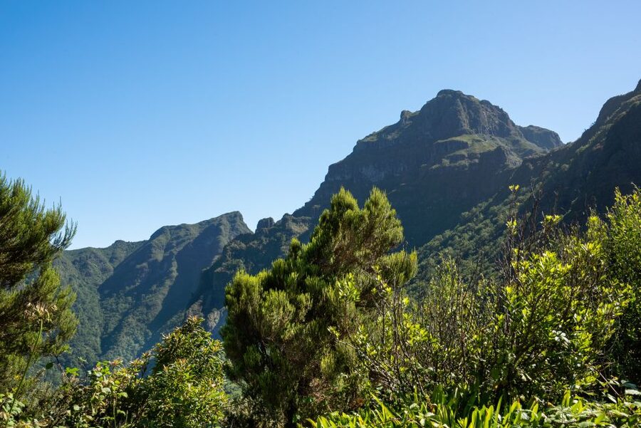 From Funchal: Best of Madeira's West Tour - Price and Value, What $42 Buys on This 8-Hour Run