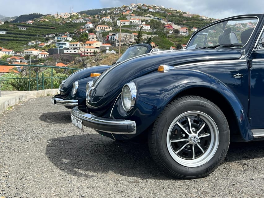 From Funchal: Cabo Girão & Poncha Tasting by Classic VW - Price and value: what you’re paying for with this $88 plan