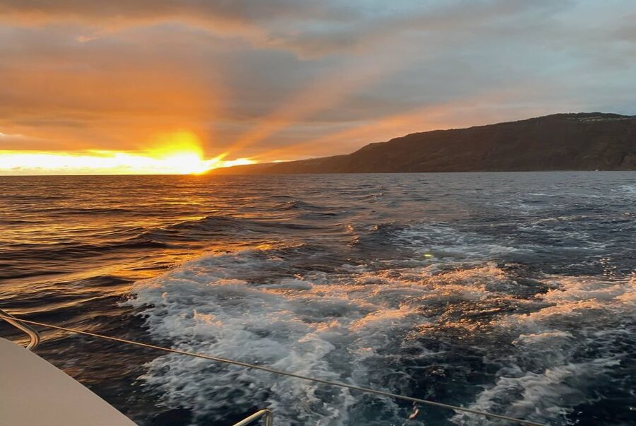 From Funchal: Cabo Girao Sunset Cruise on Luxury Catamaran - Who This Cruise Suits Best (And Who Might Be Happier Elsewhere)