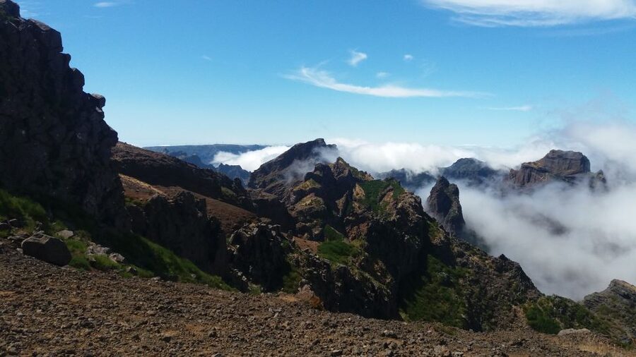 From Funchal: East Tour Madeira 4x4 Jipe Tour Santana Houses - Key Things I’d Focus On Before You Go