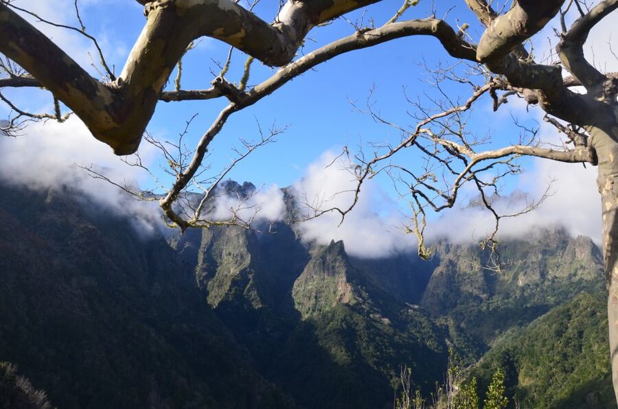 From Funchal: East Tour Madeira 4x4 Jipe Tour Santana Houses - What to Bring, and Who This Tour Fits