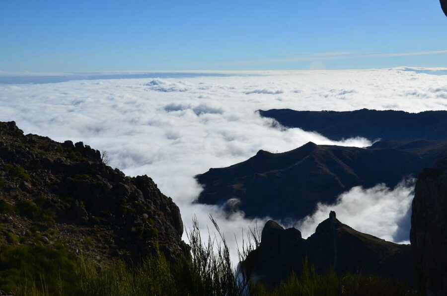 From Funchal: East Tour Madeira 4x4 Jipe Tour Santana Houses - Getting on the Road: Pickup, the Pace, and Your First View