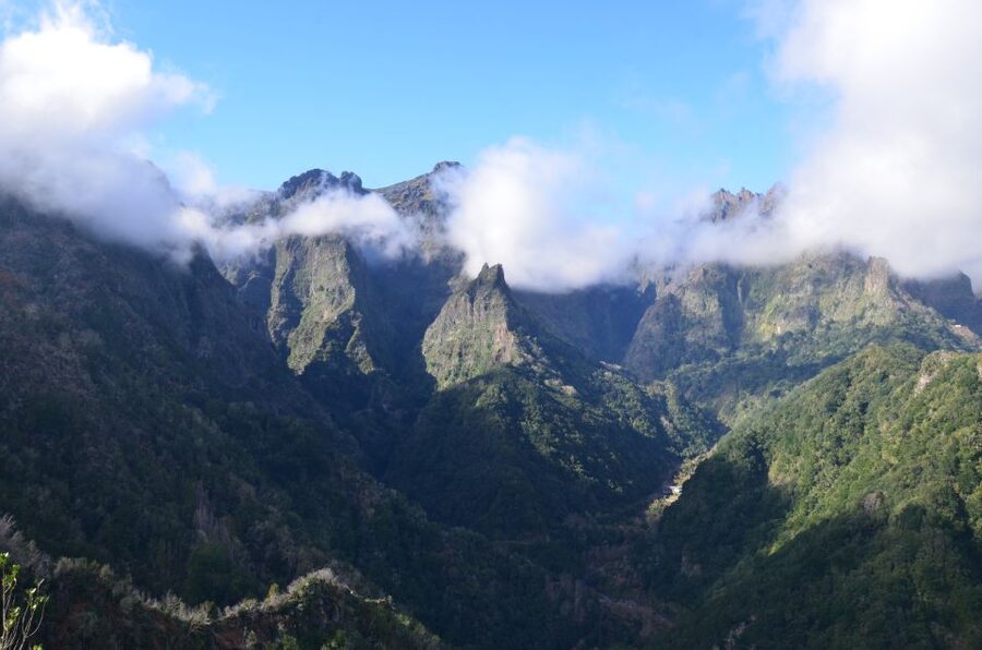 From Funchal: East Tour Madeira 4x4 Jipe Tour Santana Houses - Guides and Group Style: What Makes the Day Feel Smooth