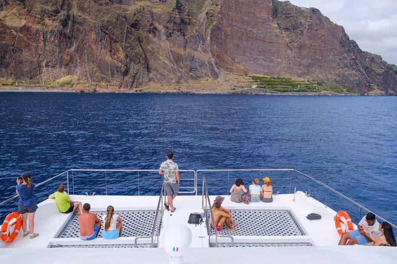 From Funchal: Ecological Catamaran Dolphin Whale Watching - Why Madeira Eco Dolphin Watching Feels Different From the Start