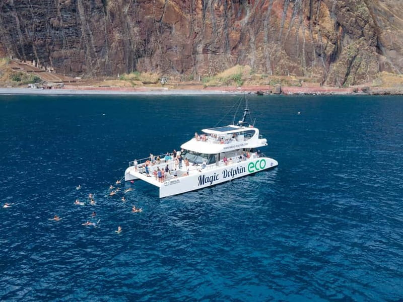 From Funchal: Ecological Catamaran Dolphin Whale Watching - Where You Actually Watch: Two Decks, 360 Views, and the Nets