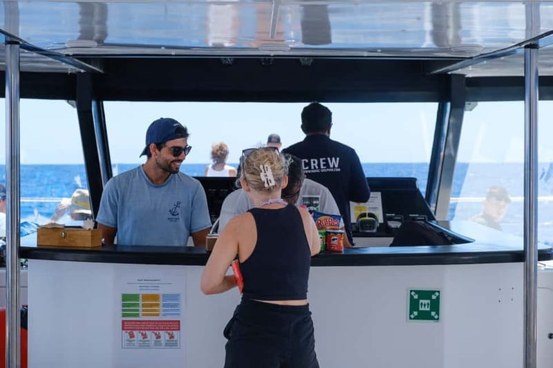 From Funchal: Ecological Catamaran Dolphin Whale Watching - What You Might See in Madeira Waters (And What You Should Not Assume)
