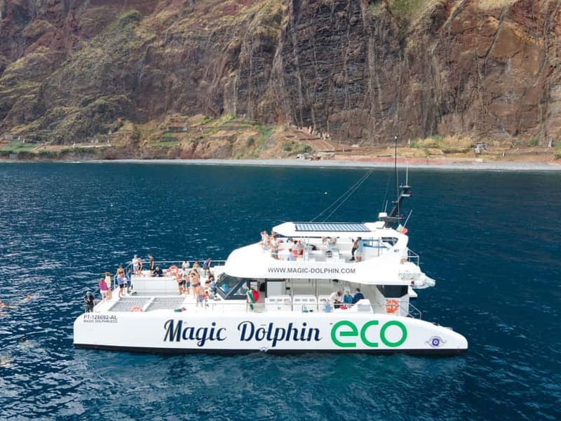 From Funchal: Ecological Catamaran Dolphin Whale Watching - Boarding in Funchal Marina: What To Do Before You Cast Off