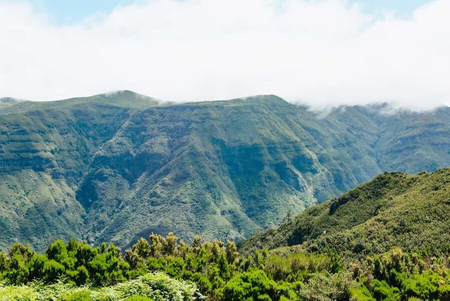 From Funchal: Fanal, Porto Moniz and Seixal Day Jeep Tour - Cabo Girão skywalk: the sea cliff moment you remember