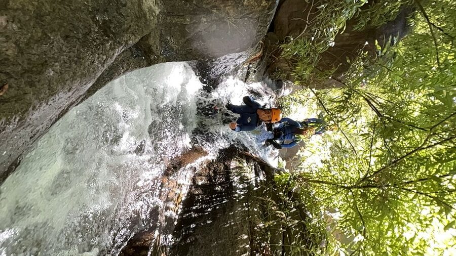 From Funchal: Intermediate Canyoning Adventure (Level 2) - Should you book this Madeira Level 2 canyoning adventure?