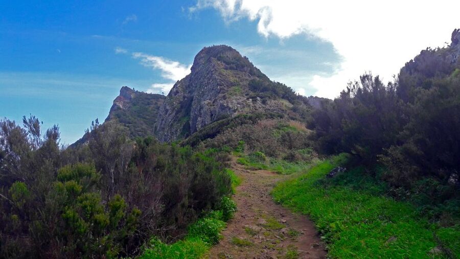 From Funchal: Machico to Porto da Cruz Larano Cliff Hike - Key Highlights You Will Feel Immediately
