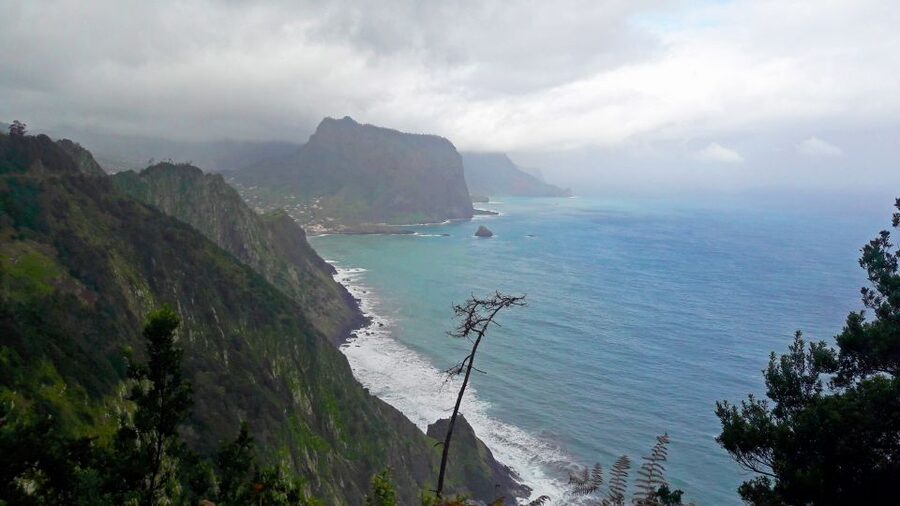From Funchal: Machico to Porto da Cruz Larano Cliff Hike - Guide Power: History, Flora, and Names You’ll Remember