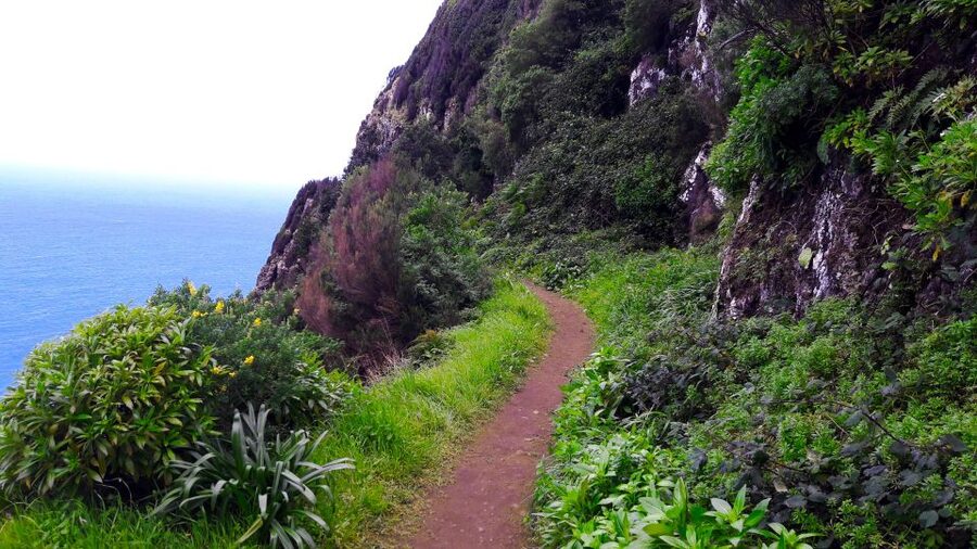 From Funchal: Machico to Porto da Cruz Larano Cliff Hike - Pace, Elevation, and the Parts That Can Feel Tricky