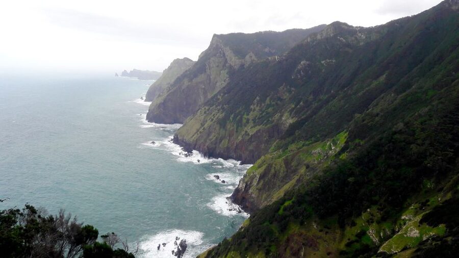 From Funchal: Machico to Porto da Cruz Larano Cliff Hike - Price and Value: Is $50 a Good Deal for This Day?