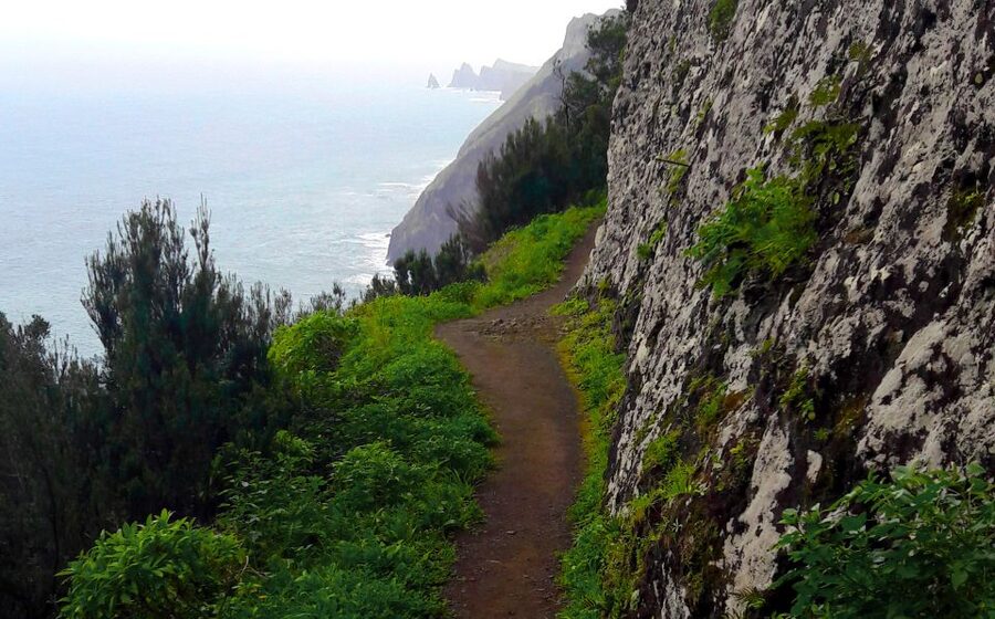 From Funchal: Machico to Porto da Cruz Larano Cliff Hike - How the Day Starts: Pickup That Actually Helps