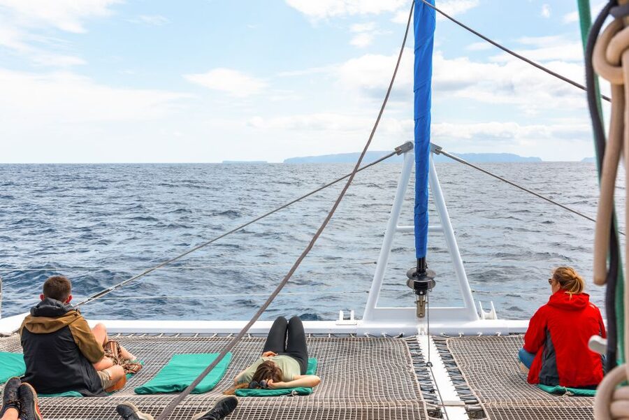 From Funchal: Madeira Dolphin and Whale Watching Tour - Leaving Funchal: the search for dolphins, whales, and turtles