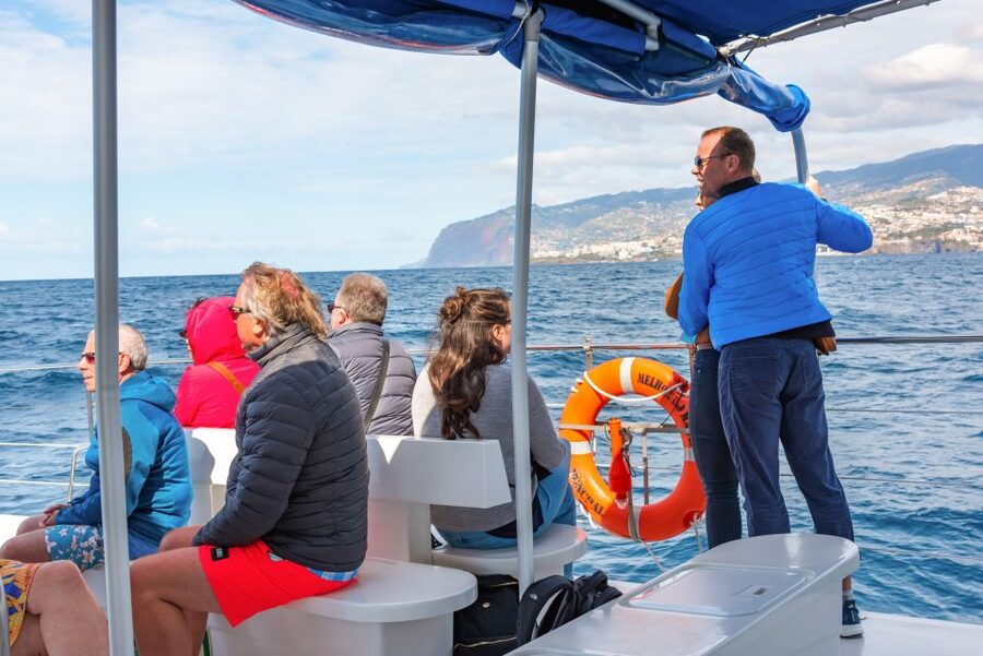 From Funchal: Madeira Dolphin and Whale Watching Tour - Onboard rules that make animal watching feel ethical