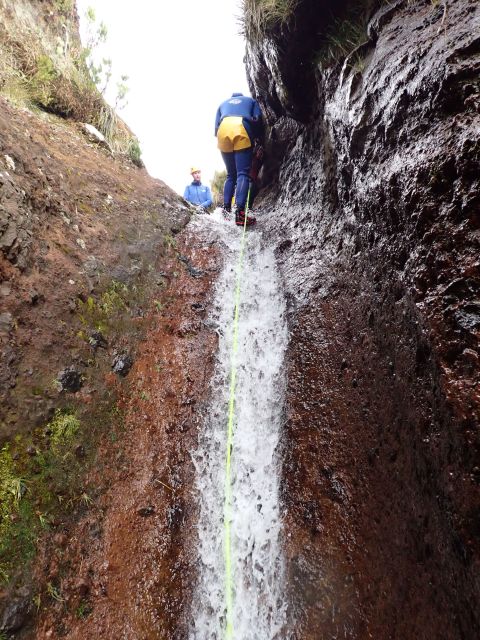 From Funchal: Madeira Island Canyoning for Beginners - Key highlights worth planning for