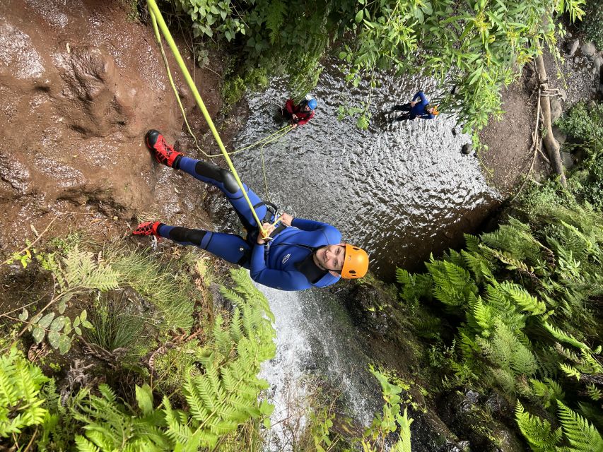 From Funchal: Madeira Island Canyoning for Beginners - Why Madeira canyoning feels like a different kind of thrill